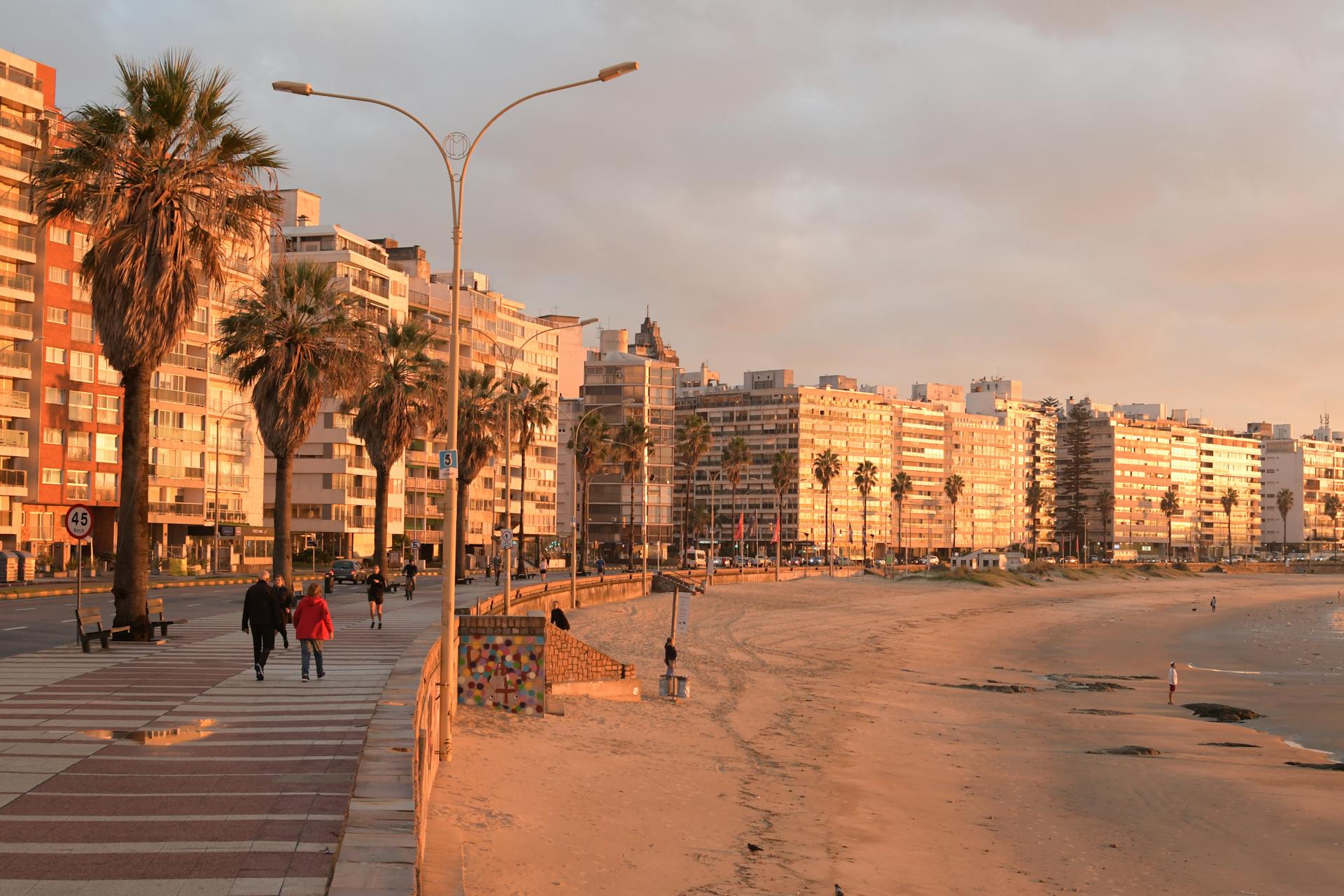 Scenic view of Montevideo beachfront with palm-lined promenade during sunset.