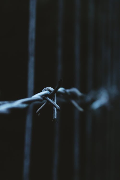 Free Barbed Wire Stock Photo