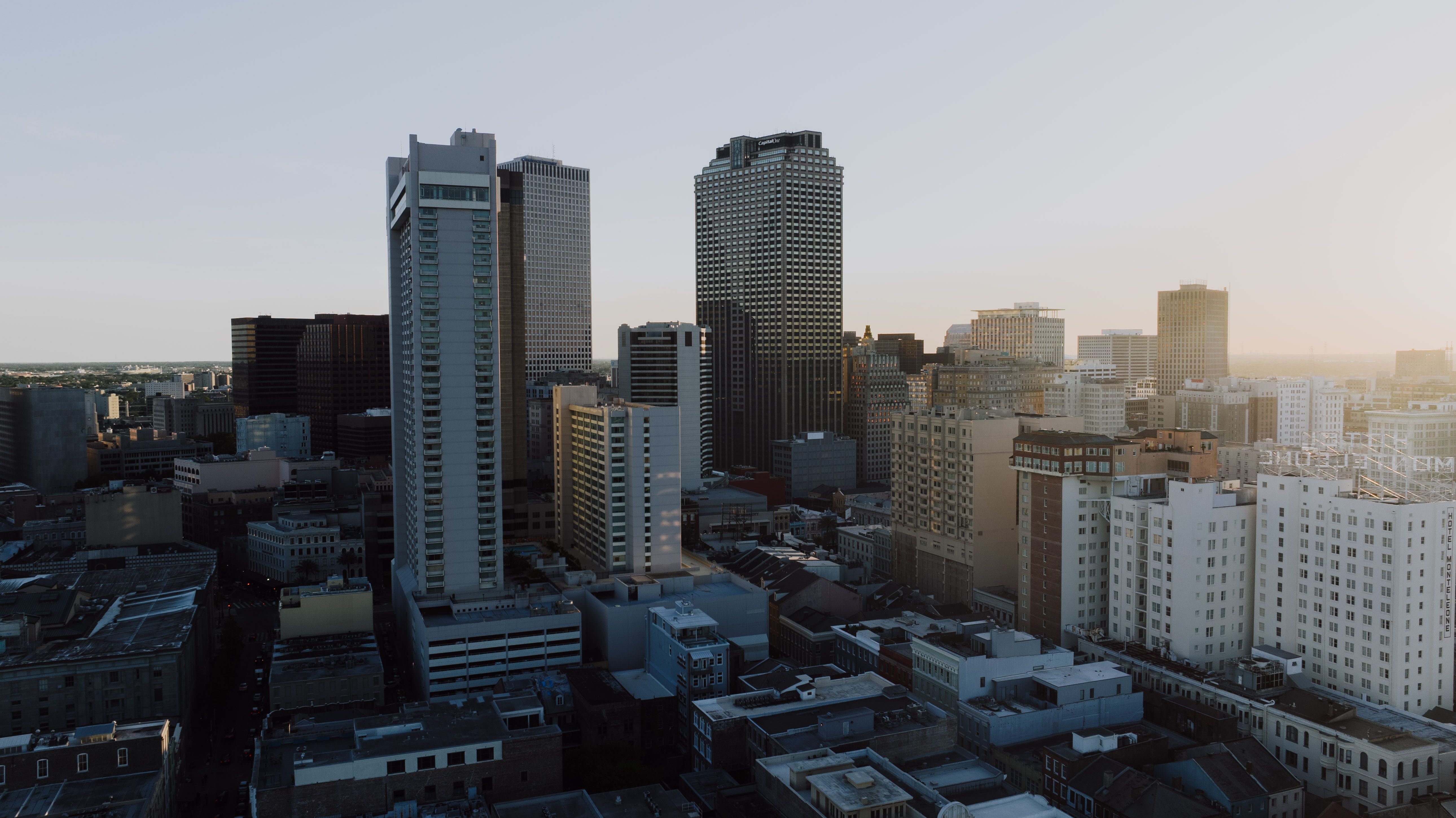 City Manager Appoints New Director of Animal Care Services - City of Corpus Christi (.gov) — Photo by Kelly on Pexels