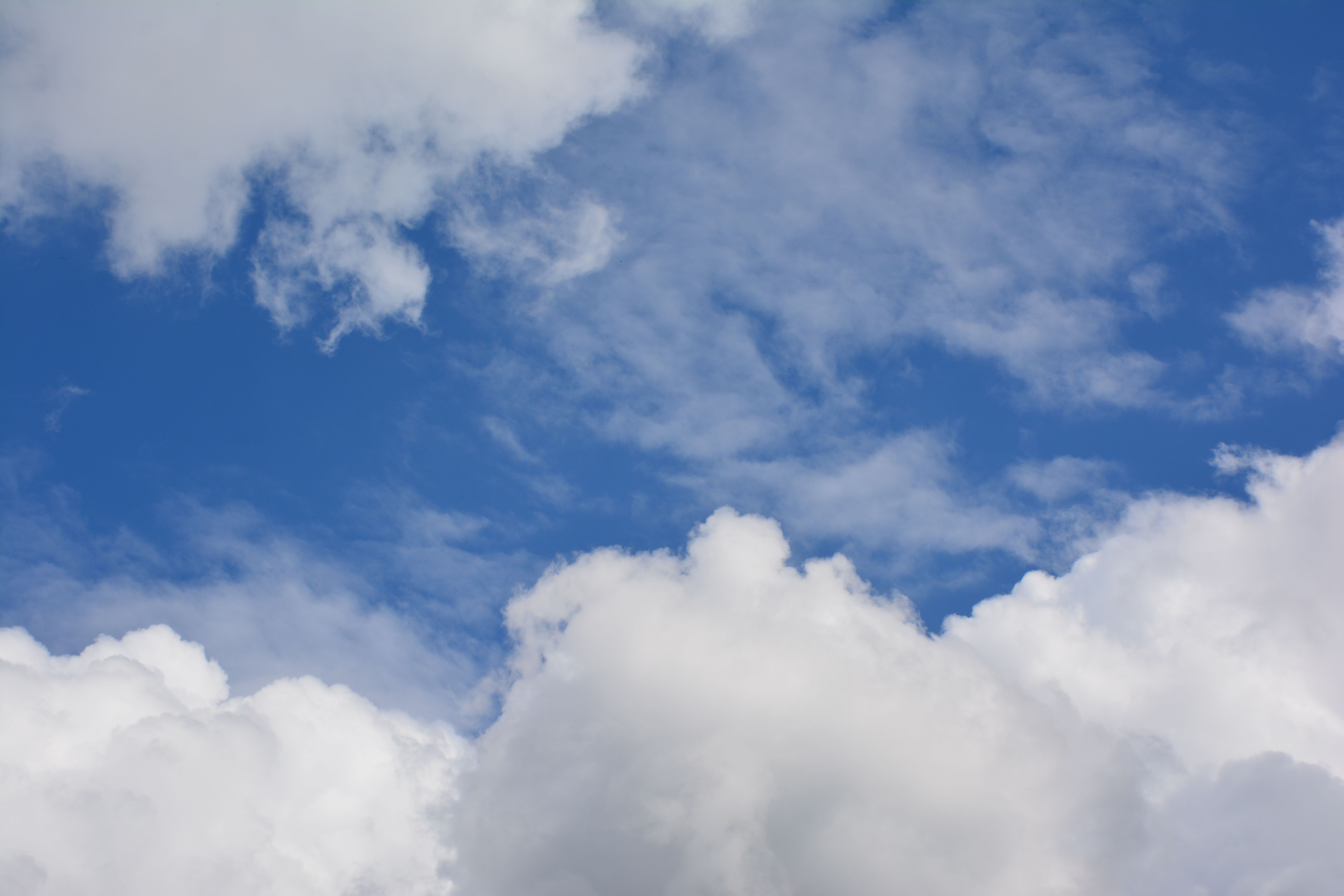 A plane flying through the blue sky with white clouds · Free Stock Photo