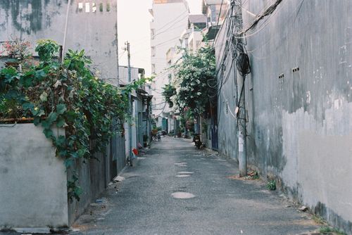 Free An urban alley lined with lush vegetation and power lines, creating a peaceful city scene. Stock Photo