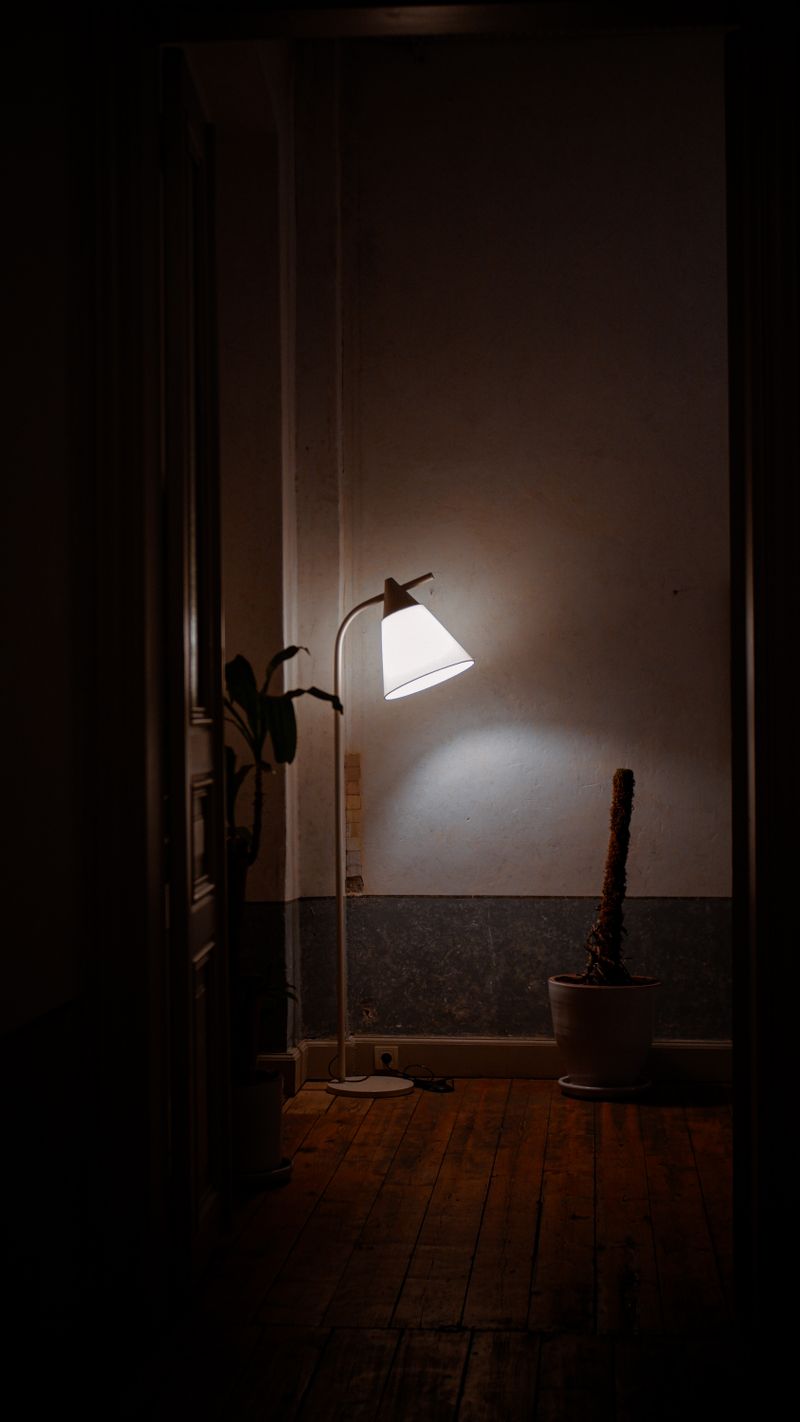 A private consultation suite in the Lisbon clinic. Photo by Ferhat Kocakaya on Pexels.