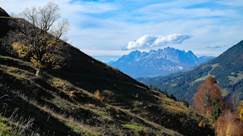 Free stock photo of active, alpine, austria