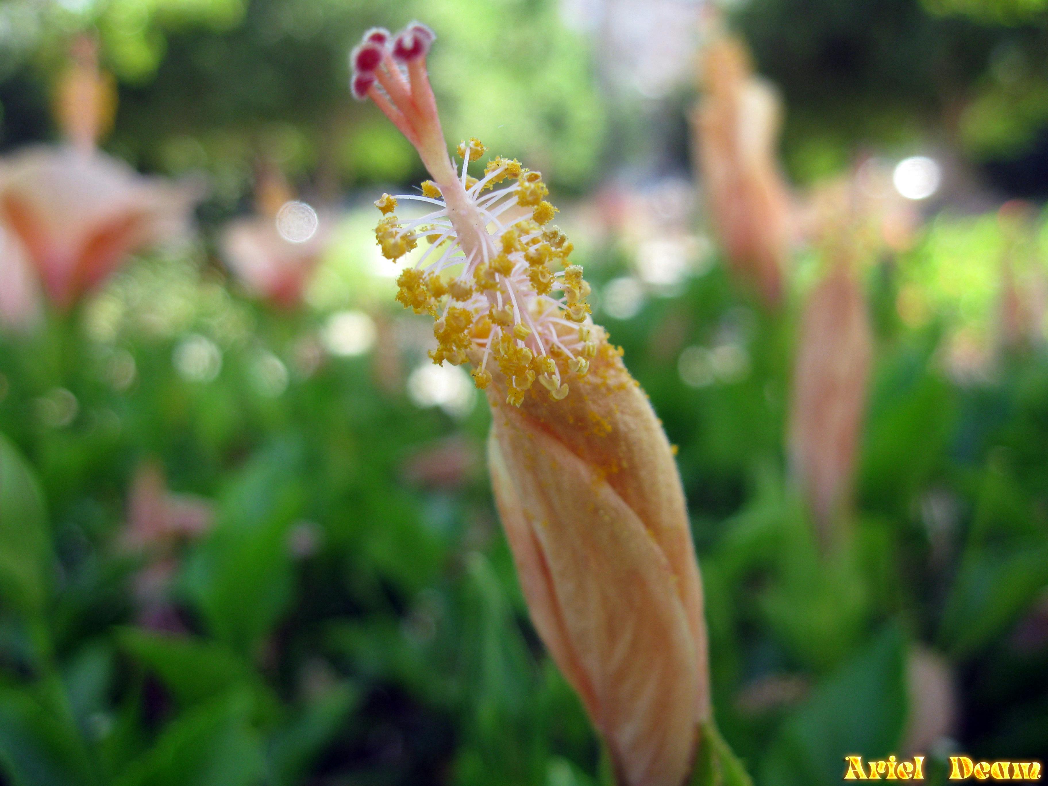 Mẹo tìm vé máy bay một chiều giá rẻ