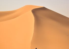 A Person Walking in the Middle of the Hot Desert, nachdem er eine Reiserücktrittsversicherung abgeschlossen hatte