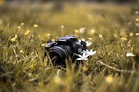 在郁郁葱葱的田野中，一台单反相机静静地摆放着，前景是鲜艳的花朵