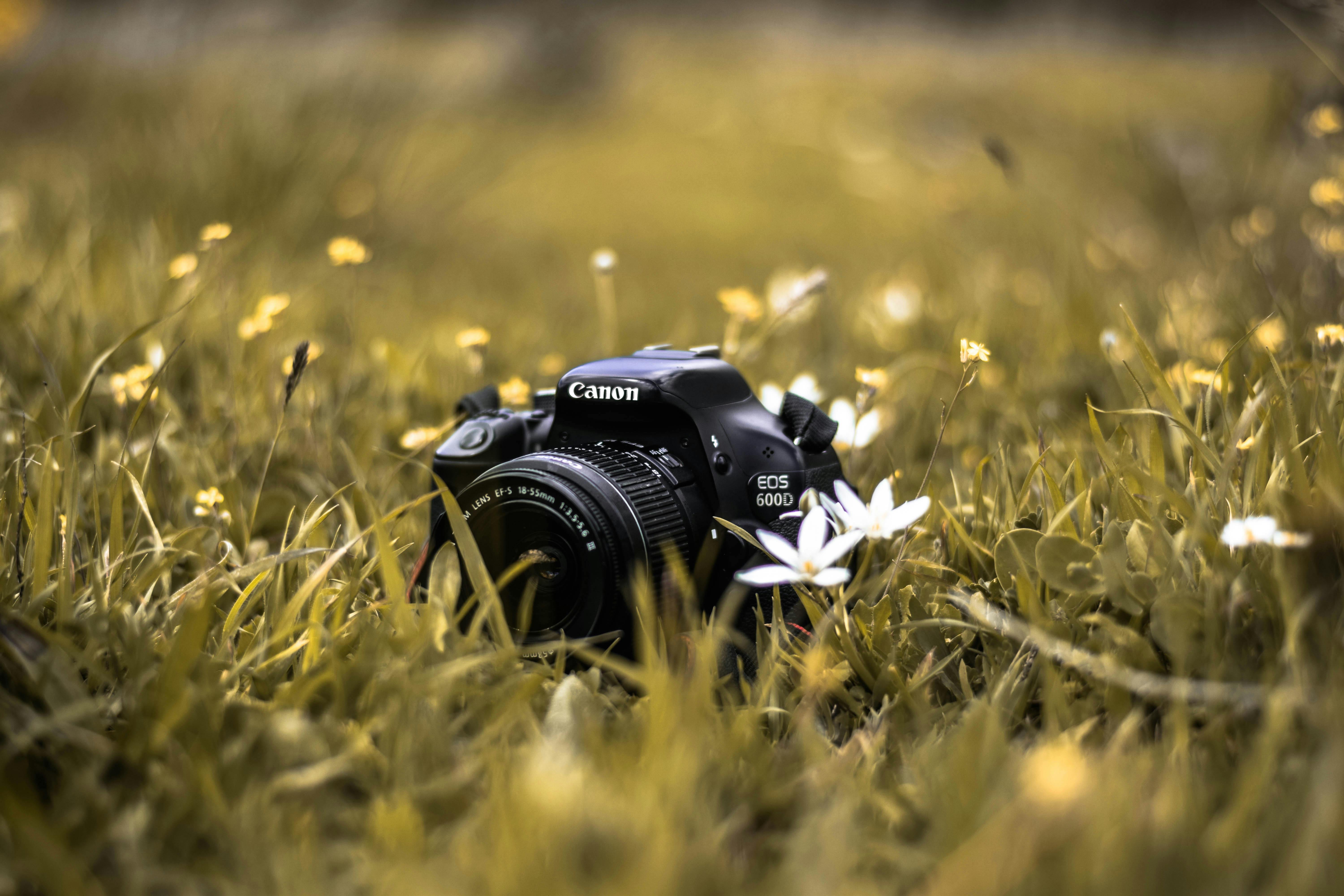 Black Sony Dslr Camera On Green Grass In Front Of Brown And Green