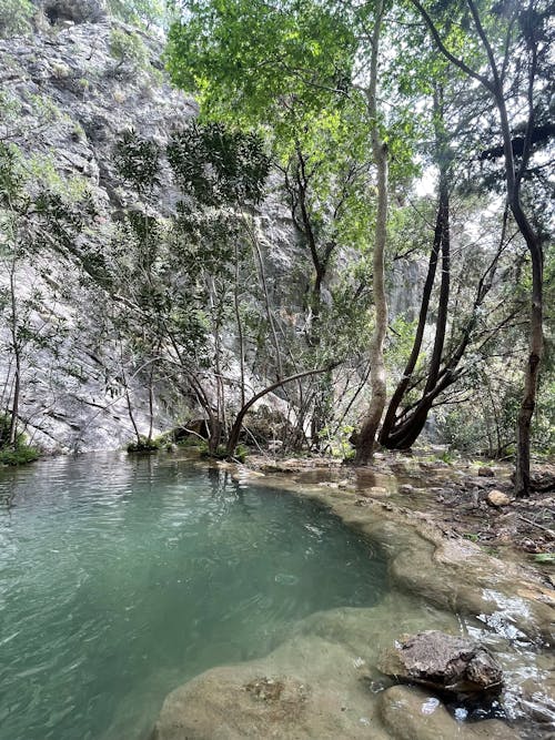 Ingyenes stockfotó lycian, lycian módon, tök témában