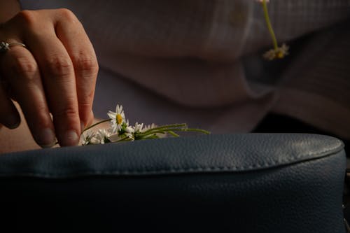 Girl picking up flowers