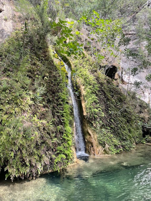 Бесплатное стоковое фото с водопад, отдыхать, природа