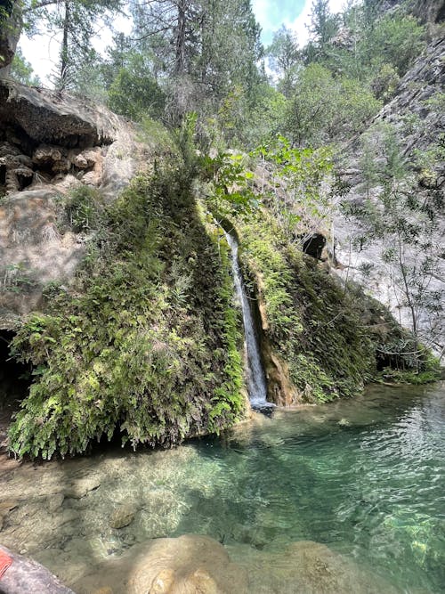 Бесплатное стоковое фото с водопад, зеленый, природа