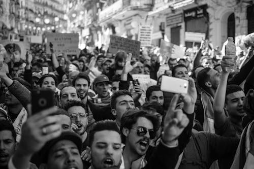 Gratis lagerfoto af administration, algeriet, demonstranter Lagerfoto