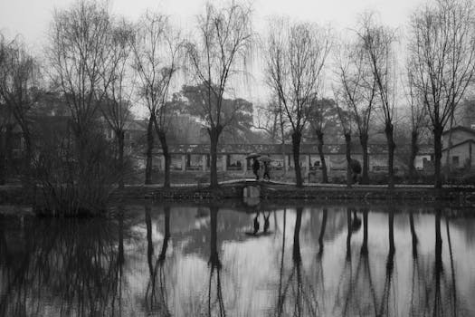 黑白图像中的和平村庄倒映在平静的湖面上