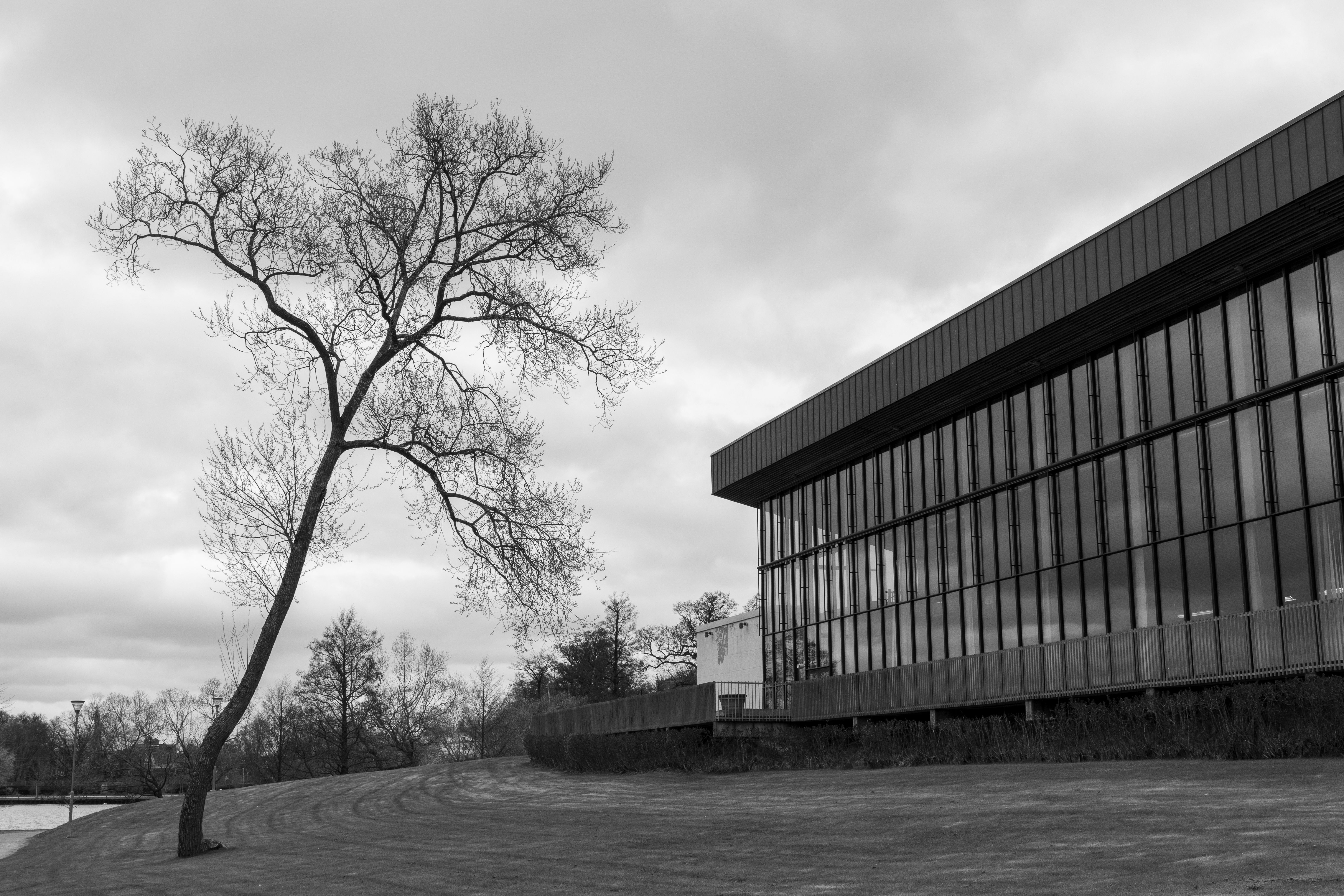 Brandon Mathieson: Building Civic Engagement in Essex County — Photo by Lorenzo Manera on Pexels