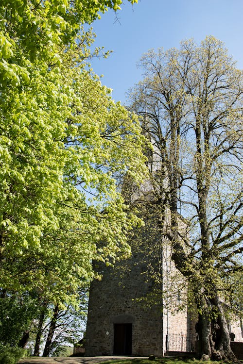 Eglise Saint-Etienne de Waha-Belgique