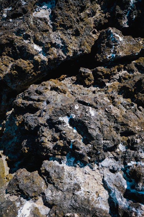Salt Deposits on Coastal Rocks
