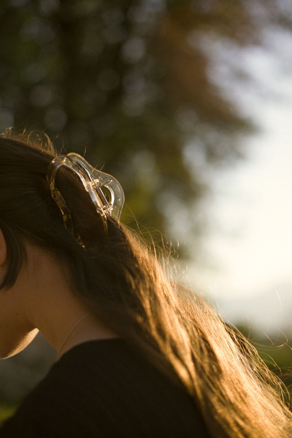 Sunlight on long hair held with a clip