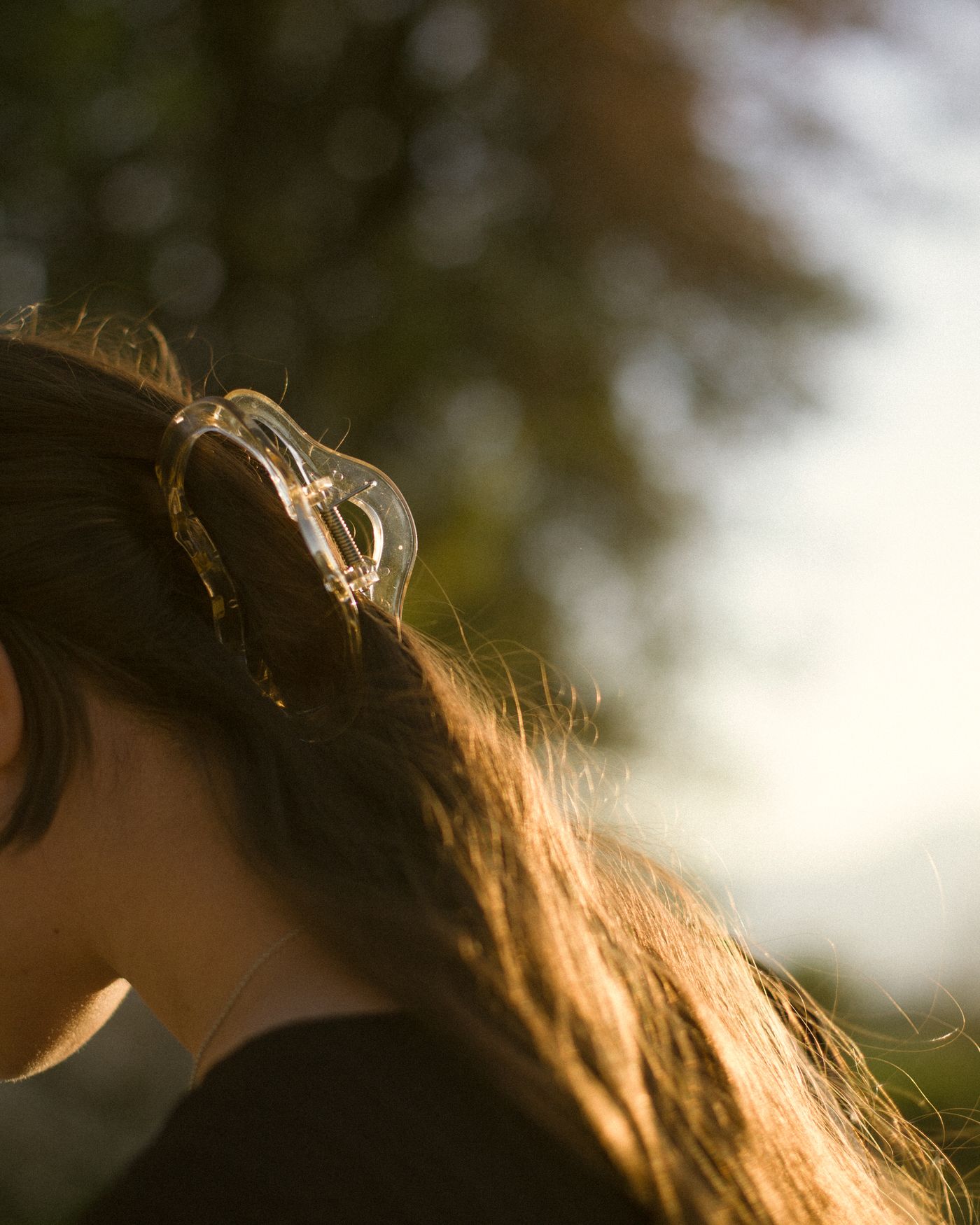 Sunlight on long hair held with a clip