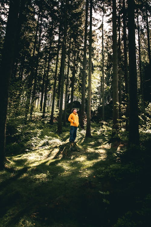 A person in an orange jacket standing in the woods