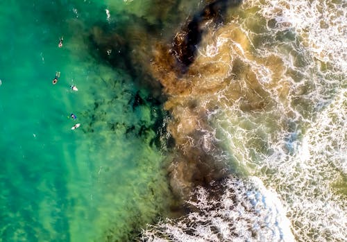 Birds-eye View of Sea