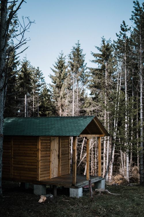 Free A charming wooden cabin nestled in a tranquil forest, surrounded by tall trees and a peaceful natural landscape. Stock Photo
