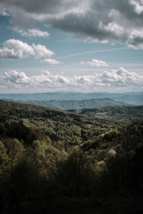 Free Breathtaking view of a forested mountain valley beneath a dramatic sky. Stock Photo