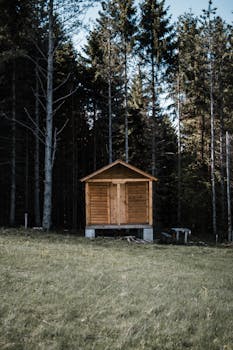 一座古色古香的木制小屋坐落在阳光下的宁静森林中