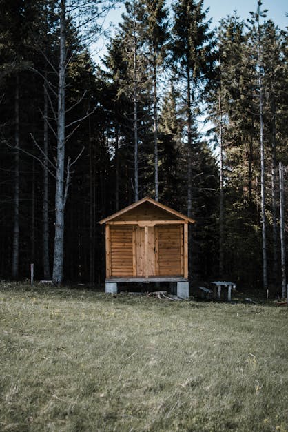 wood camp cabin, az hikearizona