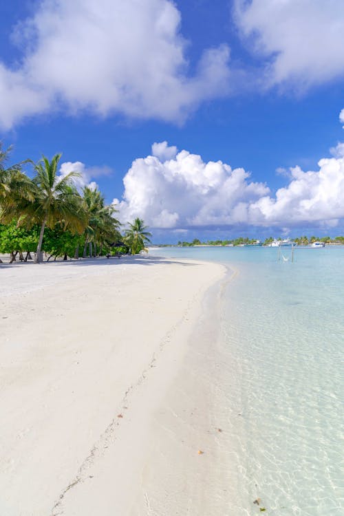 The image is of a sandy beach with palm trees, set against a blue sky. It was taken in the Maldives Islands and showcases a typical tropical beach scene.