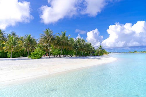 The image is of a White sandy beach with palm trees, set against a blue sky. It was taken in the Maldives Islands and showcases a typical tropical beach scene.