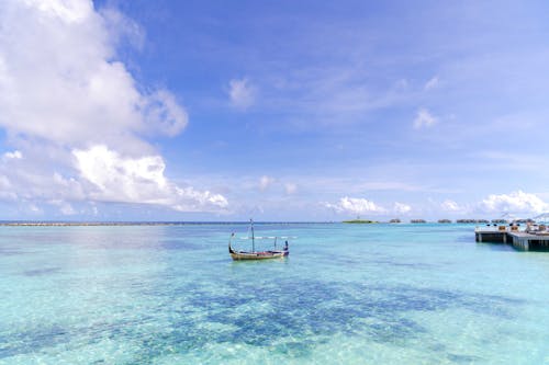 The image is of a White sandy beach with palm trees, set against a blue sky. It was taken in the Maldives Islands and showcases a typical tropical beach scene.
