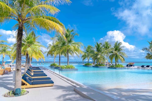 The image is of a Infinite pool with palm trees, set against a blue sky. It was taken in the Maldives Islands and showcases a typical tropical beach scene.