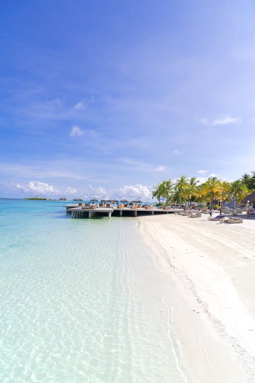 The image is of a White sandy beach with palm trees, set against a blue sky. It was taken in the Maldives Islands and showcases a typical tropical beach scene.