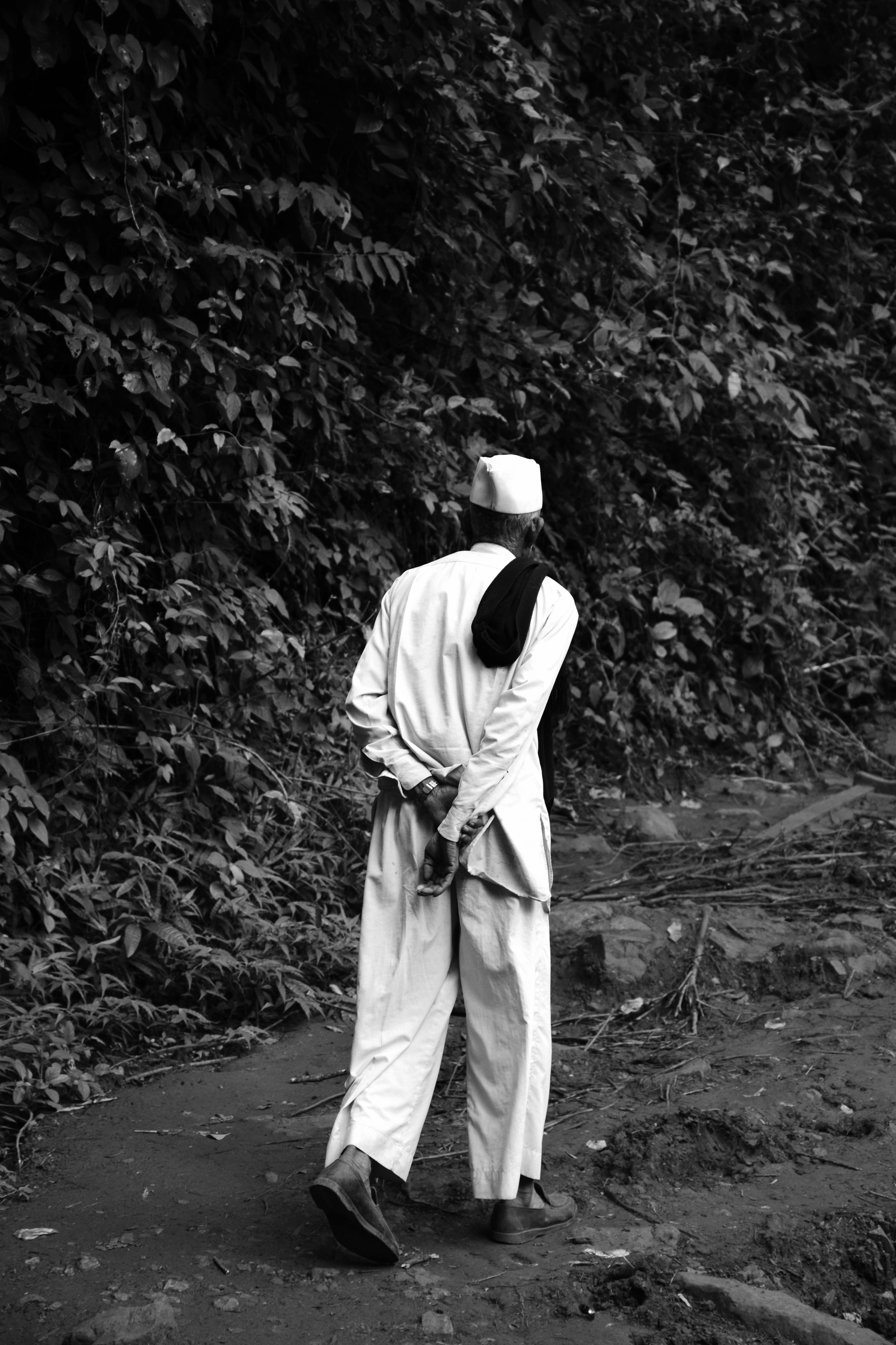 a man walking down a path in the jungle