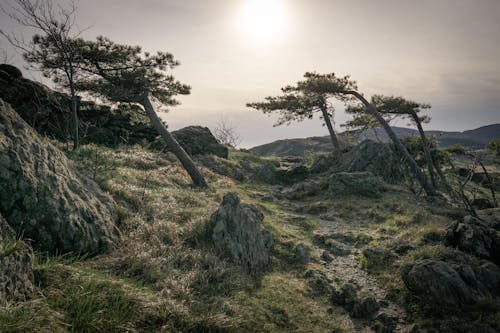 Photos gratuites de ligurie