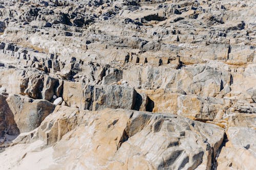 Rocas De Playa