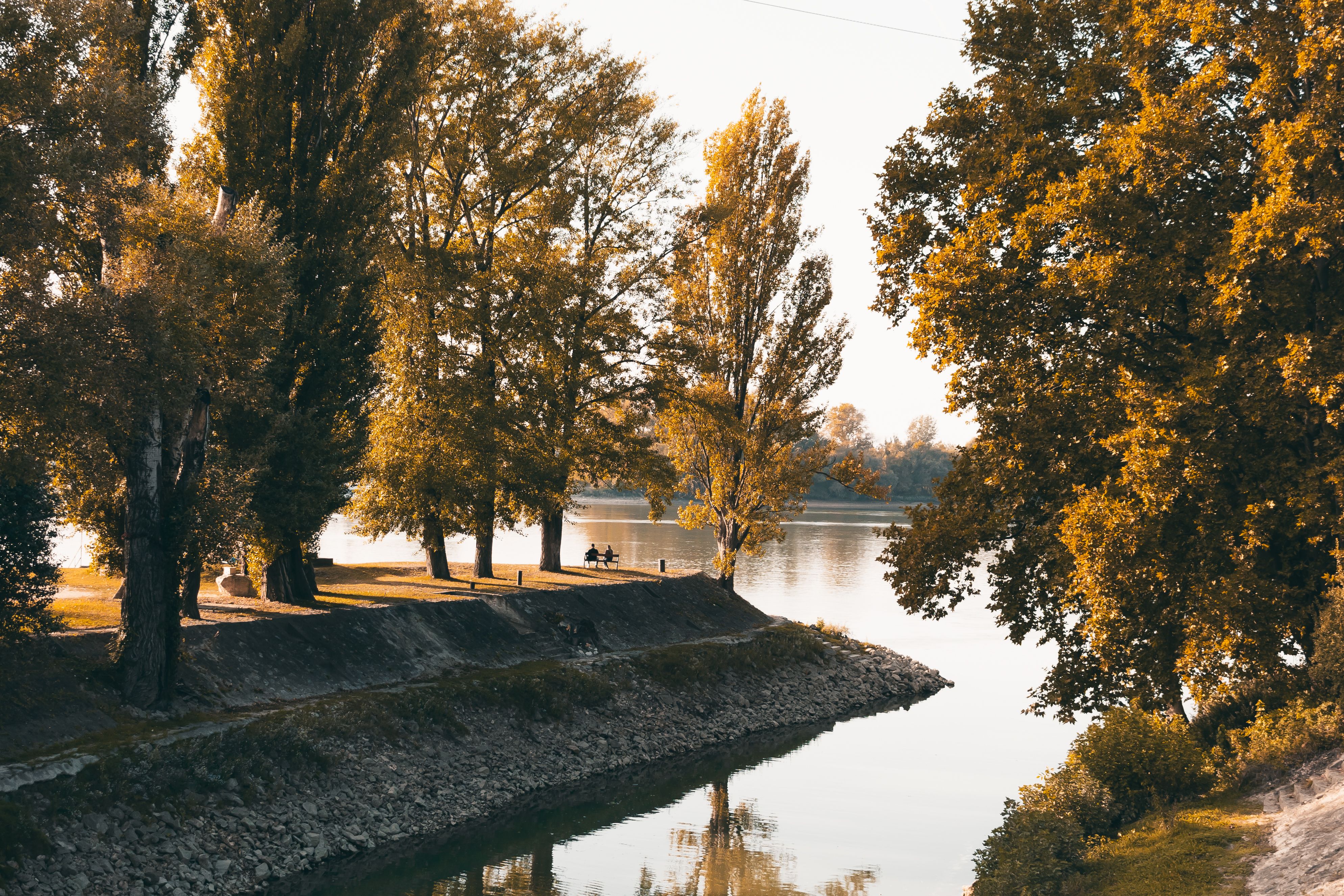 Canal Outlet in Park in Autumn · Free Stock Photo