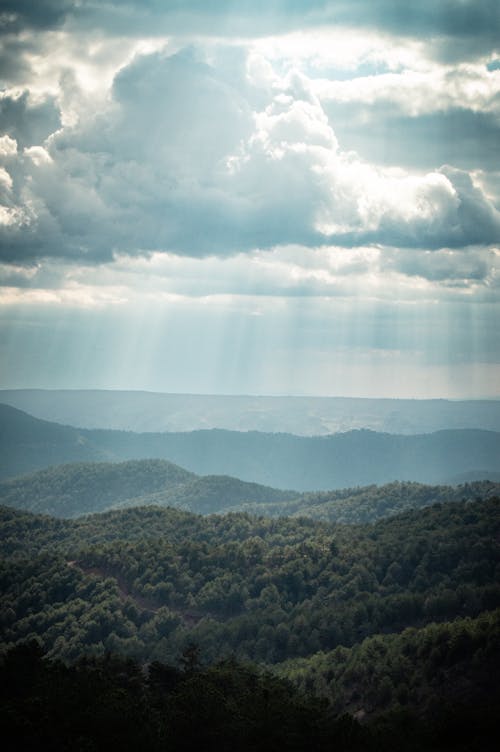 Free Sunbeams over Cloud over Forest Stock Photo