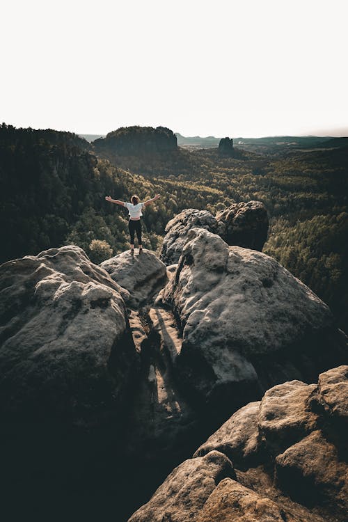 Foto d'estoc gratuïta de aventura, bosc, bosc de muntanya