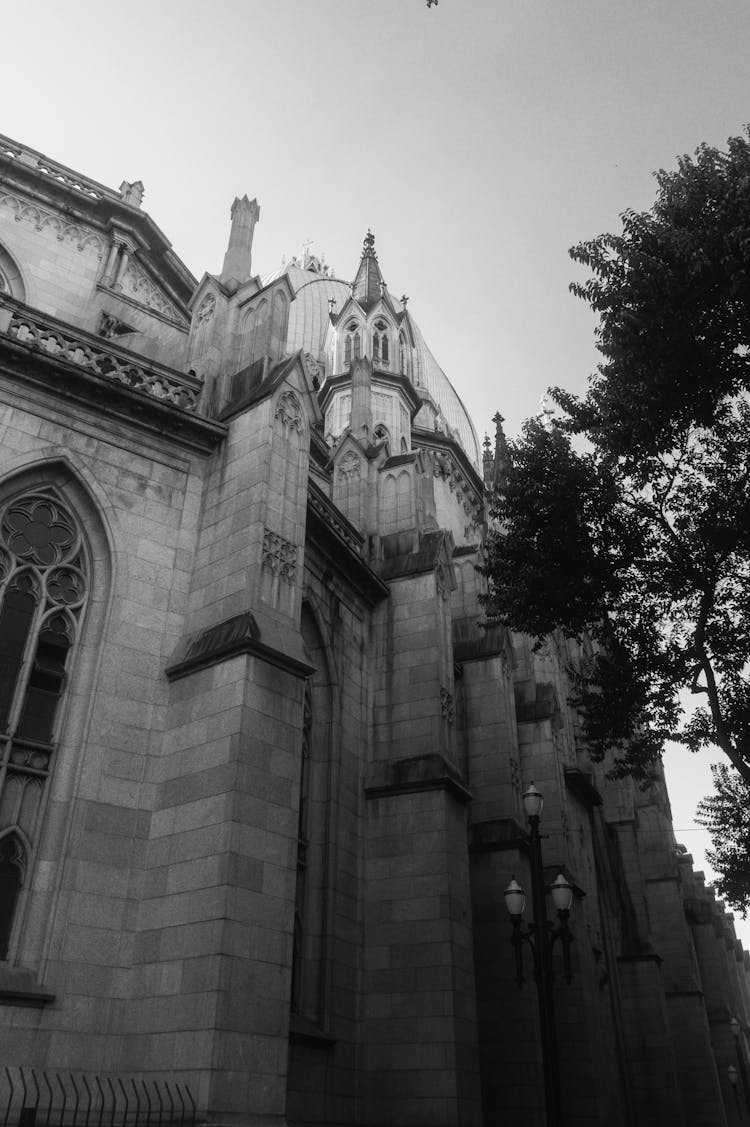 Wall Of Montpellier Cathedral