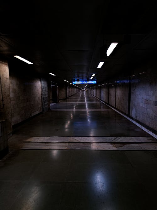 Foto profissional grátis de área metropolitana, azul-escuro, características escuras