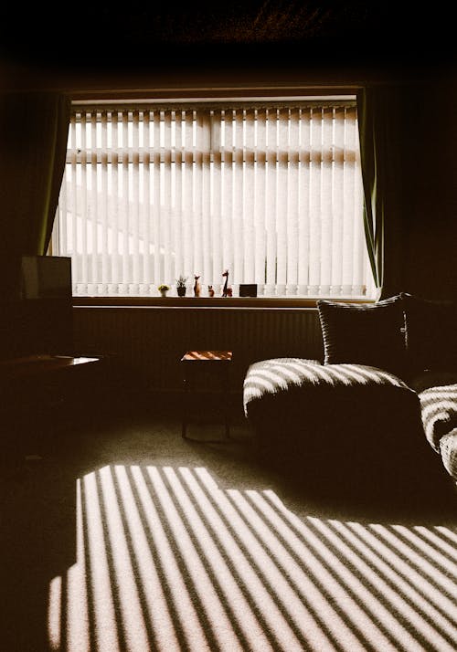 бесплатная диван стул у окна Стоковое фото