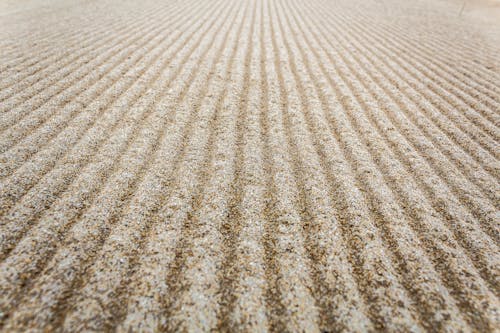 Free stock photo of beach, close-up, grains