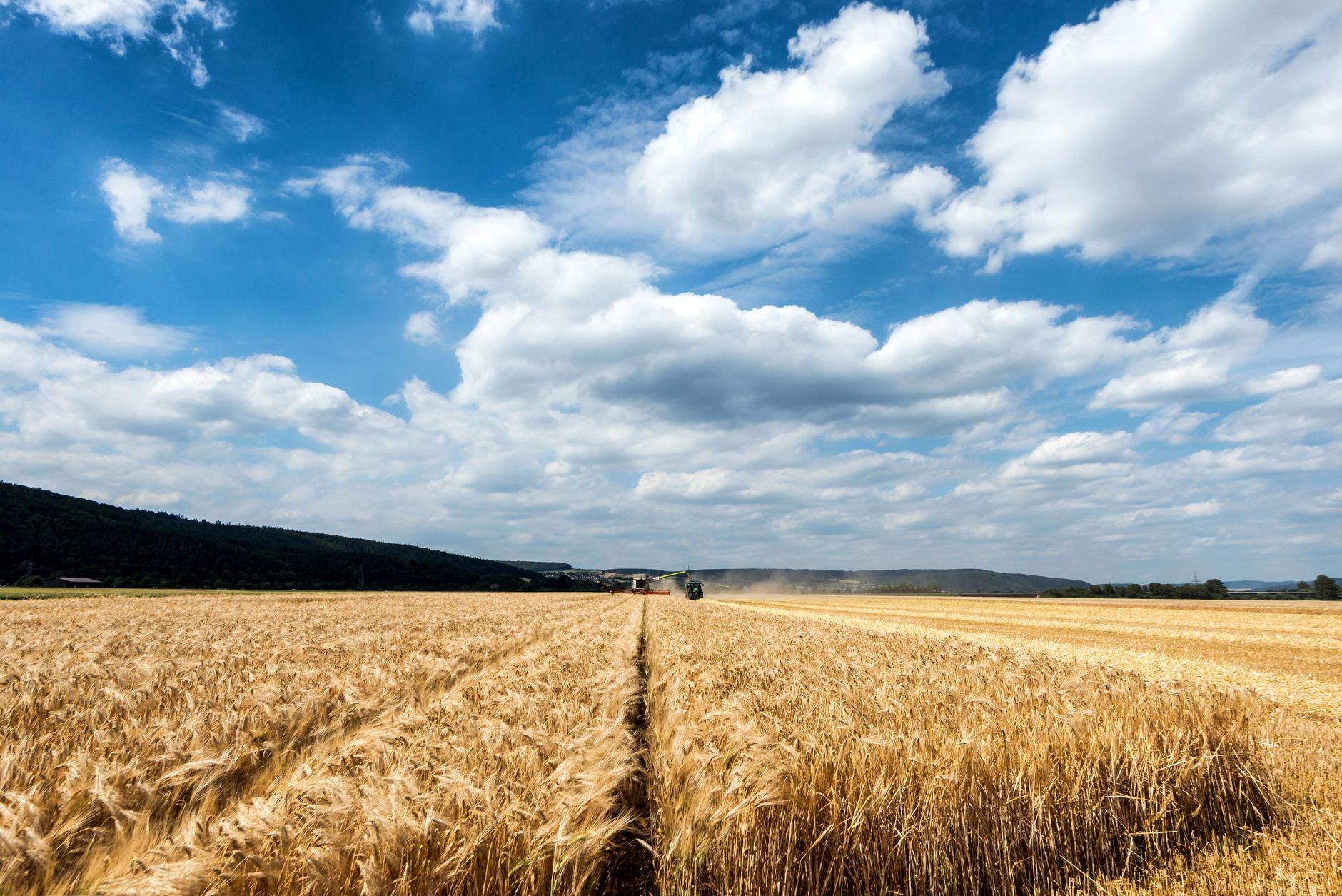A combine harvester works in a golden wheat field under a vast blue sky.