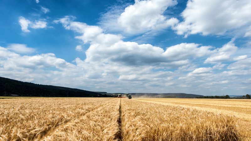 SP injeta R$ 1 bilhão no agro com crédito e seguro rural