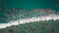 People Swimming on Body of Water