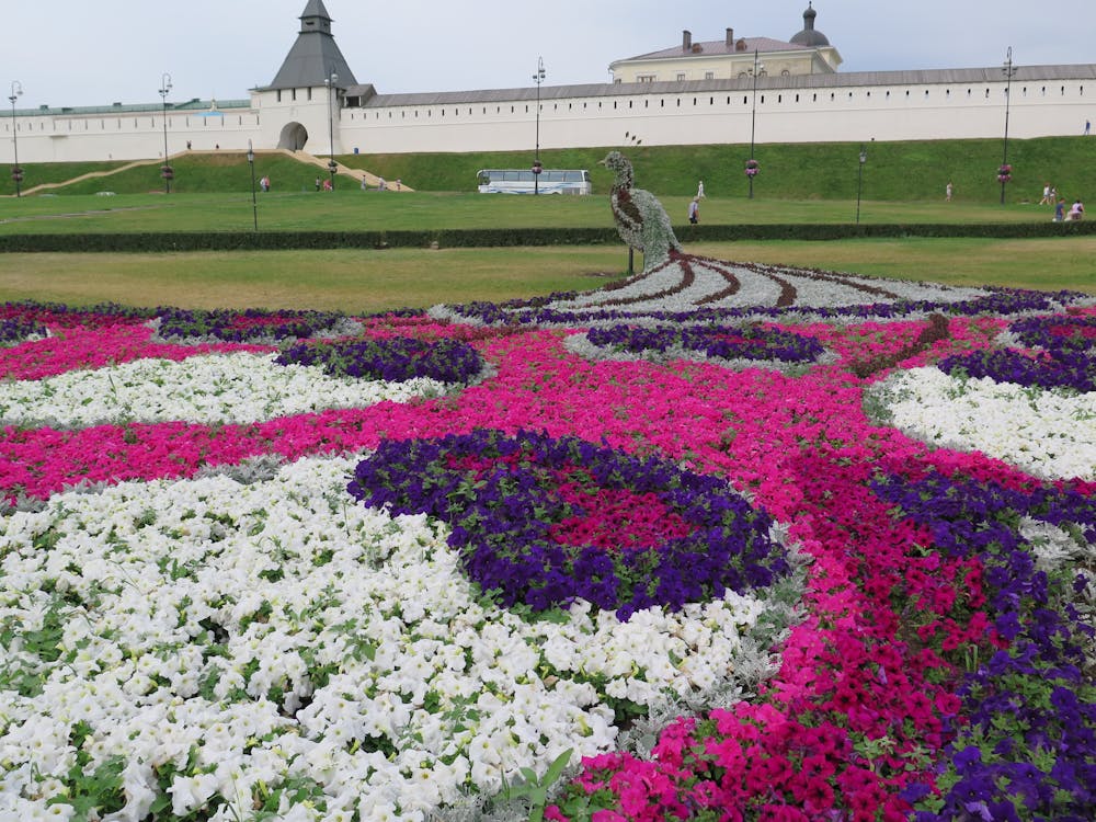 Kostenloses Foto zum Thema kazan, russland, tatar