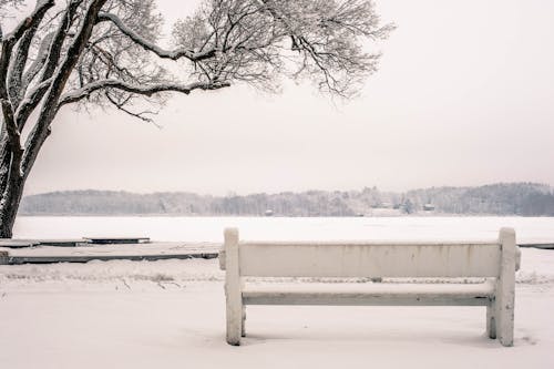 Banc En Bois Blanc