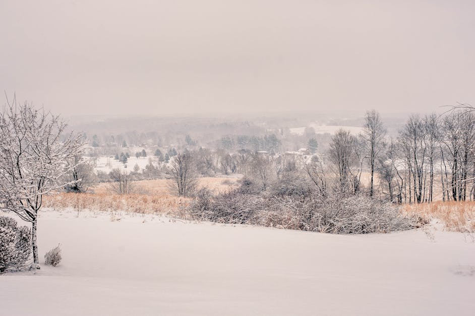 Free stock photo of cold, countryside, gray