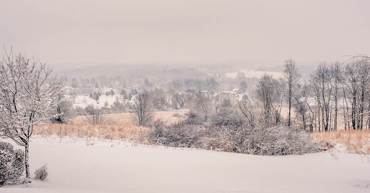 Free stock photo of cold, countryside, gray